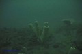foto de buceo