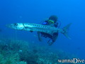 foto de buceo