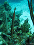 foto de buceo