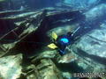 foto de buceo