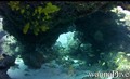 foto de buceo