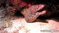 foto de buceo