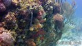 foto de buceo