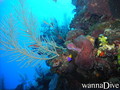 foto de buceo