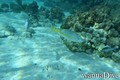 foto de buceo