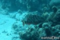 foto de buceo