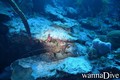 foto de buceo