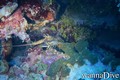 foto de buceo