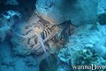 foto de buceo