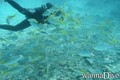 foto de buceo