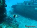foto de buceo