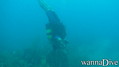 foto de buceo