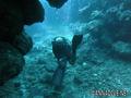 foto de buceo