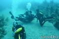 foto de buceo