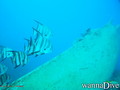 foto de buceo