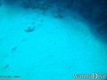 foto de buceo