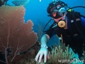 foto de buceo