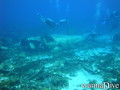 foto de buceo