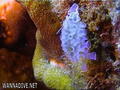 foto de buceo