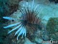 foto de buceo
