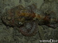 foto de buceo