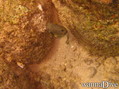 foto de buceo