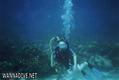 foto de buceo