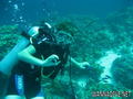 foto de buceo