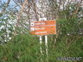 foto de buceo