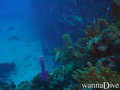 foto de buceo