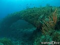 foto de buceo