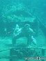 foto de buceo