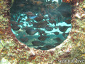 foto de buceo