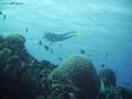 foto de buceo