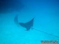 foto de buceo