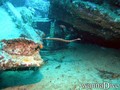 foto de buceo