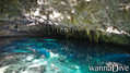 foto de buceo