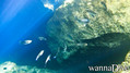 foto de buceo