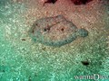 foto de buceo