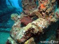foto de buceo