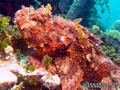 foto de buceo