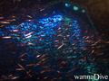 foto de buceo