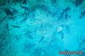 foto de buceo