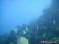 foto de buceo