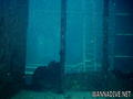 foto de buceo