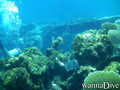 foto de buceo