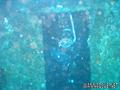 foto de buceo