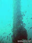 foto de buceo