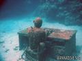 foto de buceo