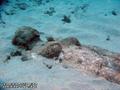 foto de buceo